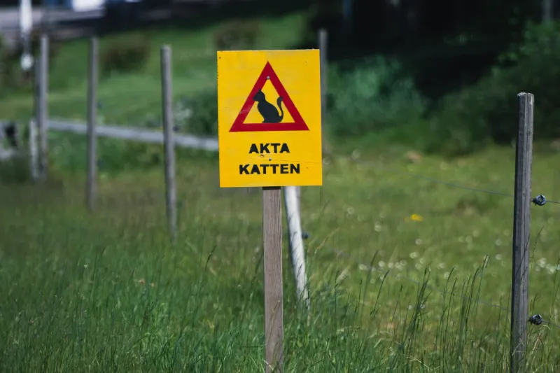 Gränsöverskridande körkort – vad gäller när du pendlar, arbetar eller bor tillfälligt i ett annat nordiskt land?